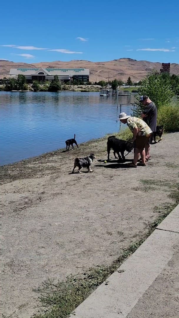 Sparks Marina Dog Park - Image 2