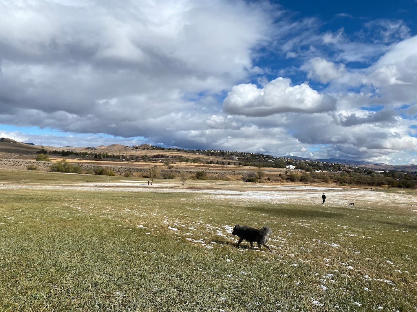 Rancho San Rafael Off-Leash Dog Park - Image 1