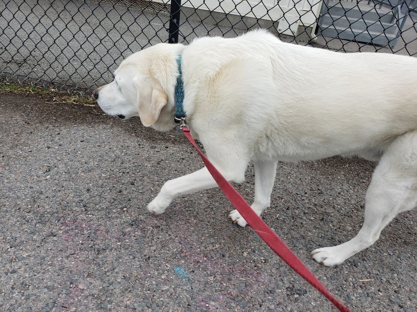 Corte Madera Dog Park - Image 2