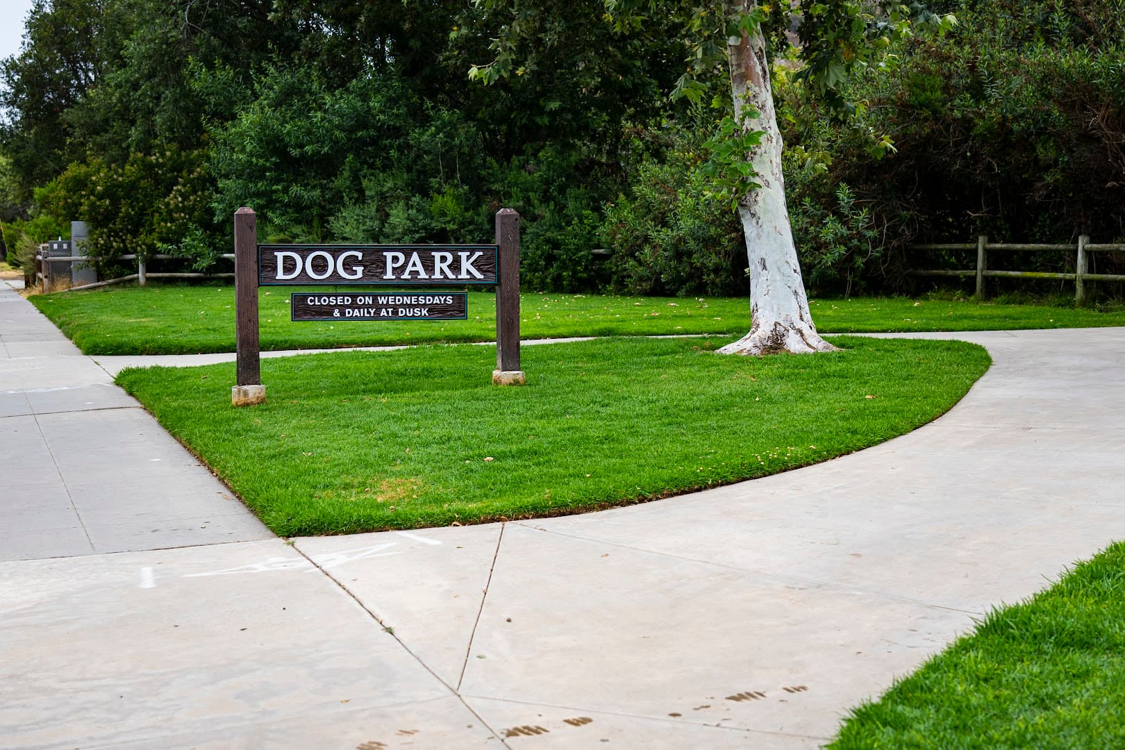 Laguna Beach Dog Park - Image 1