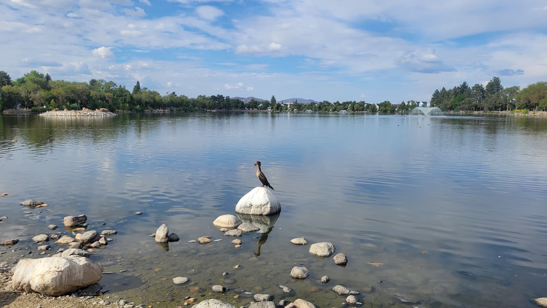 Virginia Lake Dog Park - Image 1