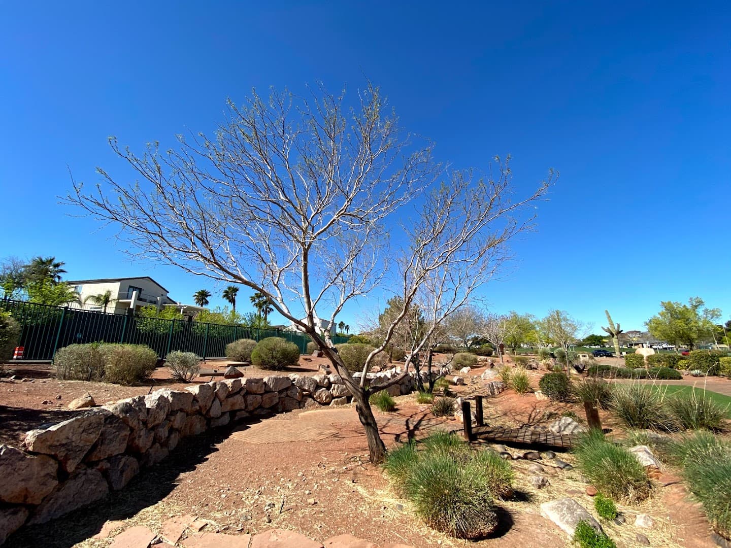 Acacia Demonstration Gardens - Image 1