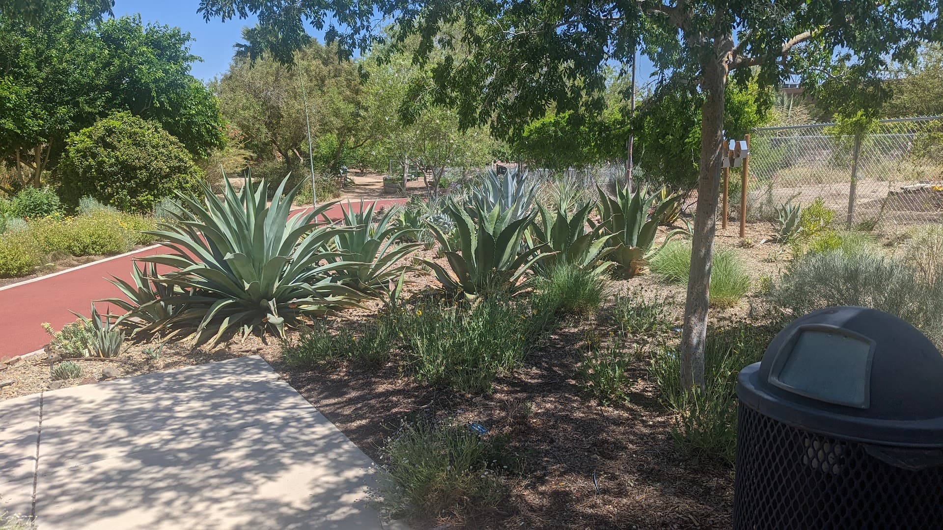 Acacia Demonstration Gardens - Image 2