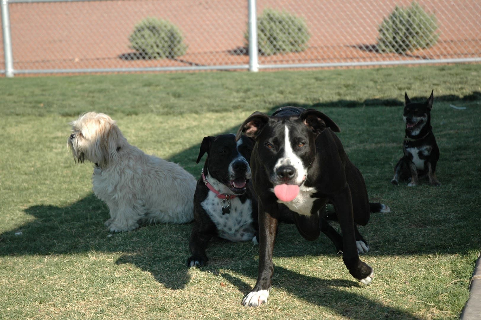 Paseo Vista Park - Image 1